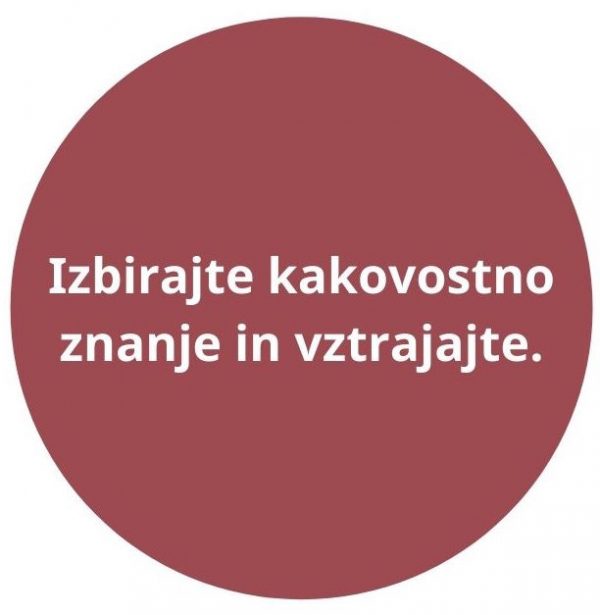 VEDETI