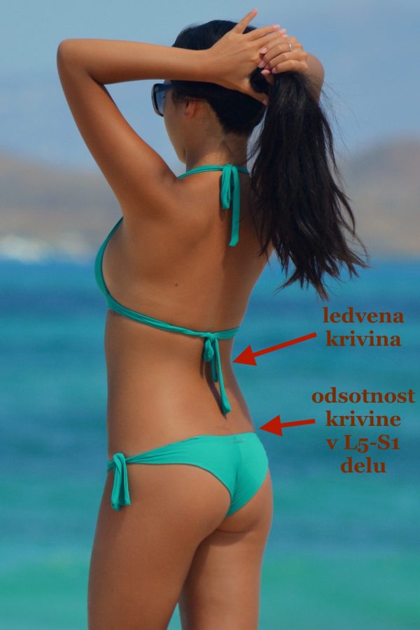 ledvena hrbtenica